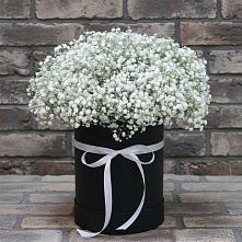 Цветочная композиция из Гипсофила в шляпной коробке в Ямном