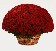 Премиум букет из: Розы в Ямном